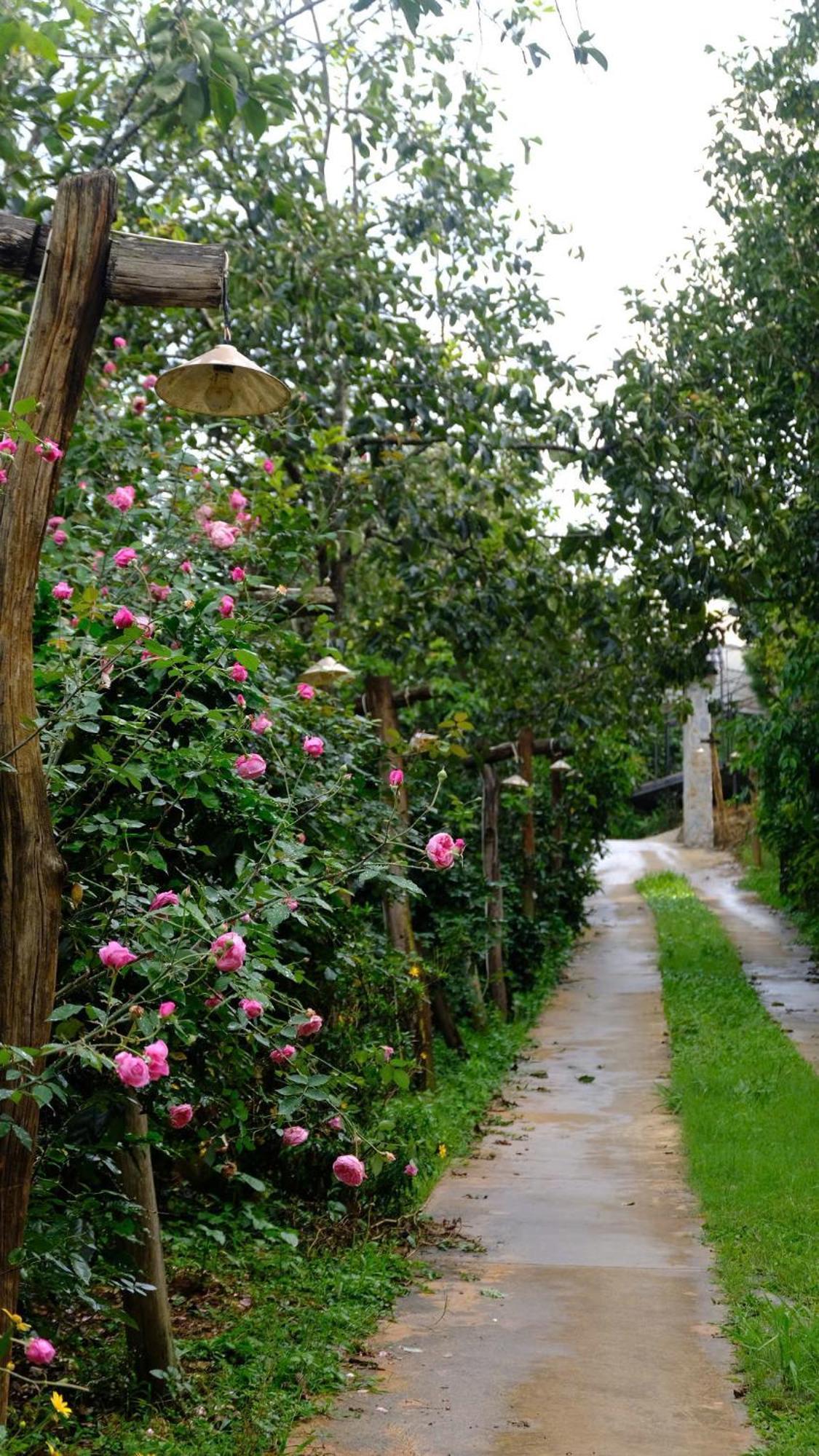 Moc Tra Farm Villa Xuan Truong Dış mekan fotoğraf