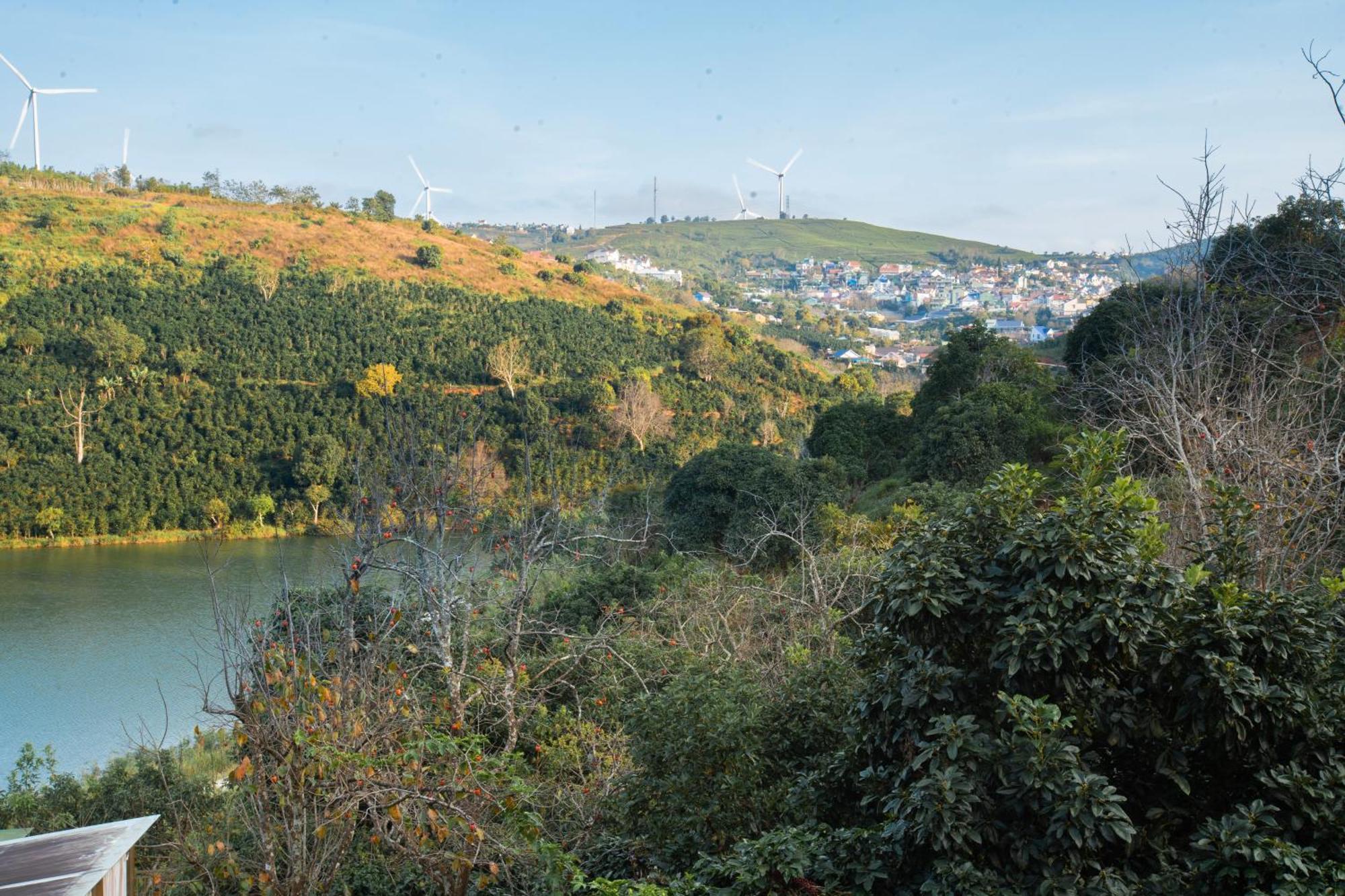 Moc Tra Farm Villa Xuan Truong Dış mekan fotoğraf